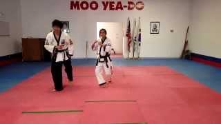 Moo Yea-Do Roundhouse Kick Tutorial