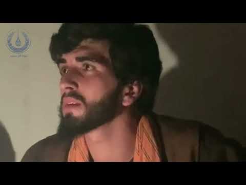 پنجه های تغه شبیر شابه صوفی شاهین گلبهار و شکیب عزیزی Top Dambora Watani Shabir Shaba Shekib 