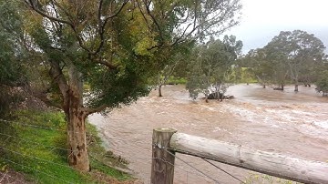 Hamley Bridge Light River Flooding Help Sales Marketing .Com