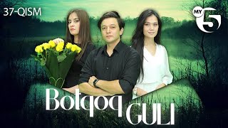 : "Botqoq guli" milliy serial | 37-qism
