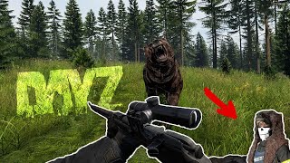 Hunting Bears for their HEADS! - DayZ