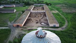 Centers of culture services. Rural studies. Derkul stud farm