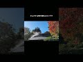 ＃shorts 北鎌倉の紅葉（浄智寺）
