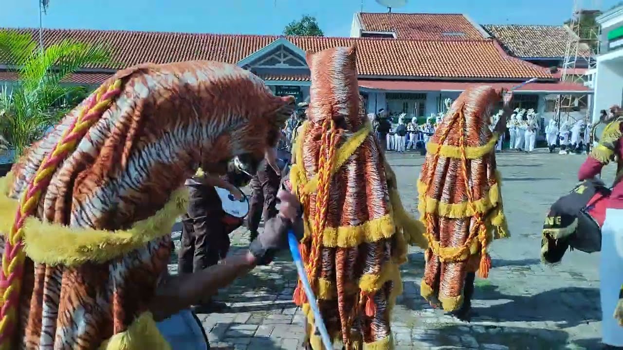 Drumband supm nusantara batang wisuda tpq Al Azhar  wirosari sambong #supm #drumband #batang