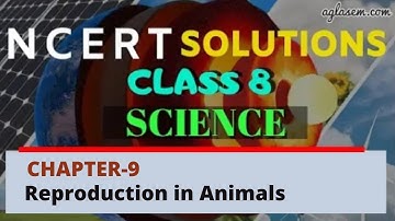 NCERT Solutions Class 8 Science Chapter 9 Reproduction in Animals