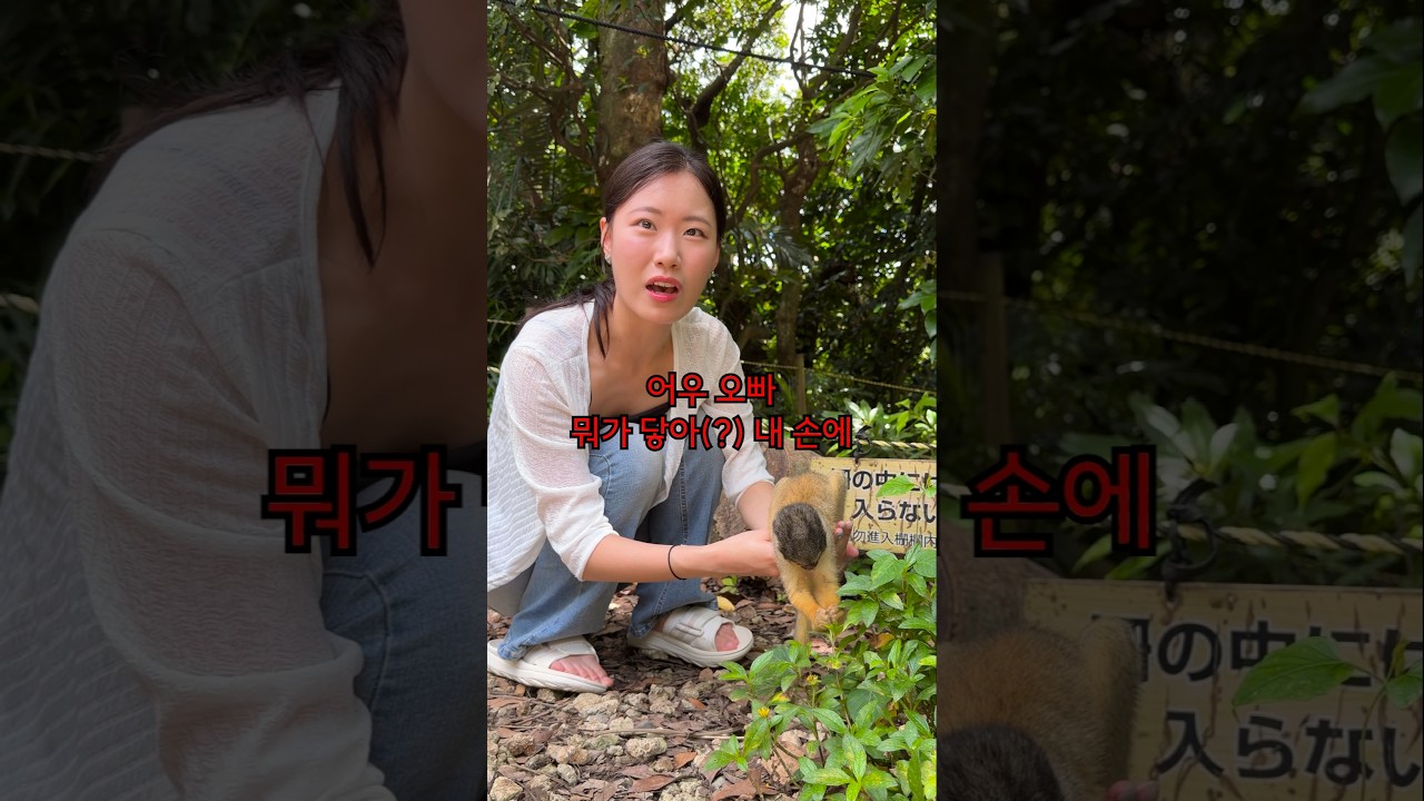 다람쥐원숭이의 비밀ㅋㅋㅋ