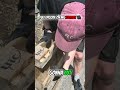 Pallet Dismantling Hack: Save Time & Avoid Splitting Wood! #shorts