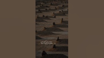 سورة الفجر(يَا أَيَّتُهَا النَّفْسُ الْمُطْمَئِنَّةُ ارْجِعِي إِلَى رَبِّكِ رَاضِيَةً مَرْضِيَّةً).