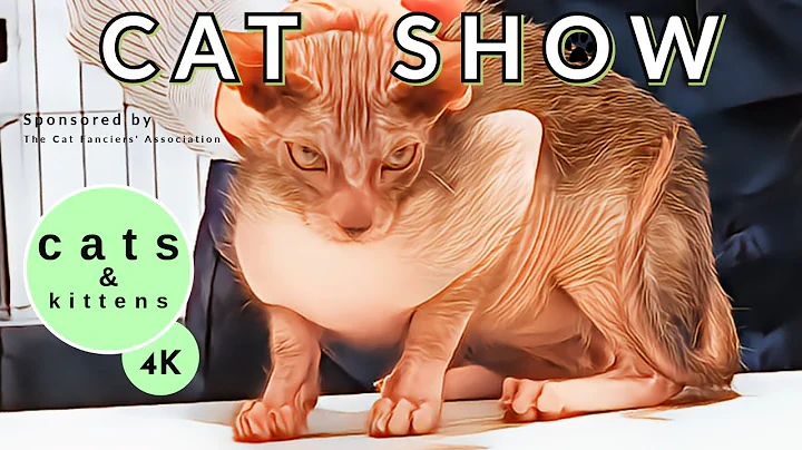 Watch the video about Daisy's Diary