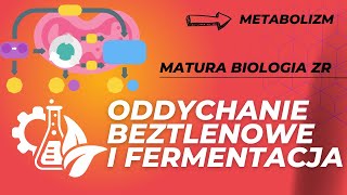 Oddychanie beztlenowe i fermentacja. MATURA BIOLOGIA ZR