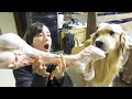 大きすぎる骨を愛犬にあげてみた