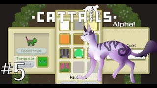 Claiming Territory! 🐱 Cattails 🐱 5