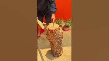 skill using super sharp tools to cut wood #shorts