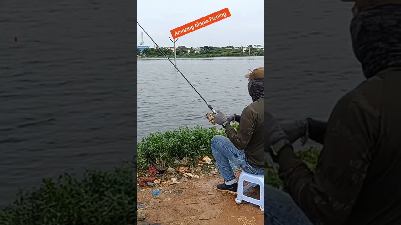 Roll the fishing reel for live bait tilapia fishing