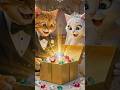 The Gift Everyone Rejected Was the Most Valuable 🎁#Kitten #Animation #Shorts #Heartwarming