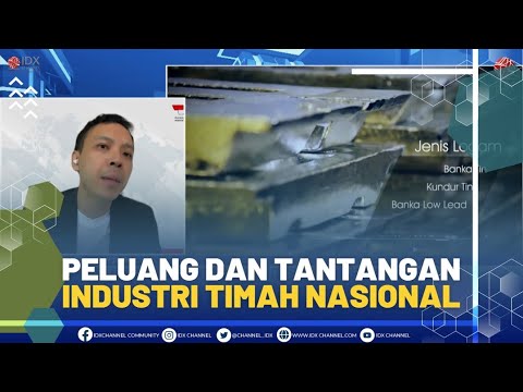 Peluang dan Tantangan Industri Timah Nasional | MARKET REVIEW 26/07/2022