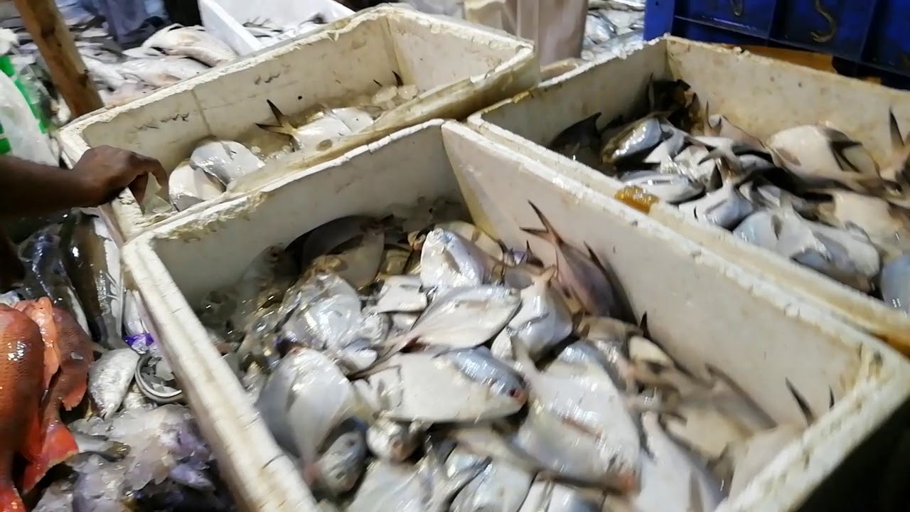 Cst fish market || Mumbai fish market cst || मुंबई सीएसटी फिश मार्केट - YouTube