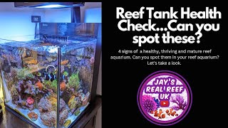 Reef Tank Health Check - 4 Signs of a Healthy Reef Aquarium? by Jay's Real Reef UK 4,373 views 11 months ago 9 minutes, 27 seconds