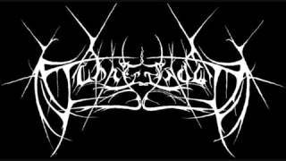 Schattenvald - Auf alten Pfaden