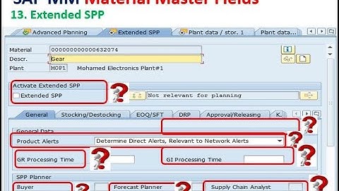 ( Extended SPP ) SAP S/4 HANA MM Material Master Detailed Explanation