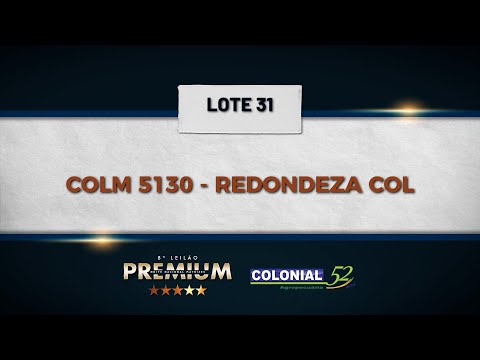 LOTE 31 COLM 5130