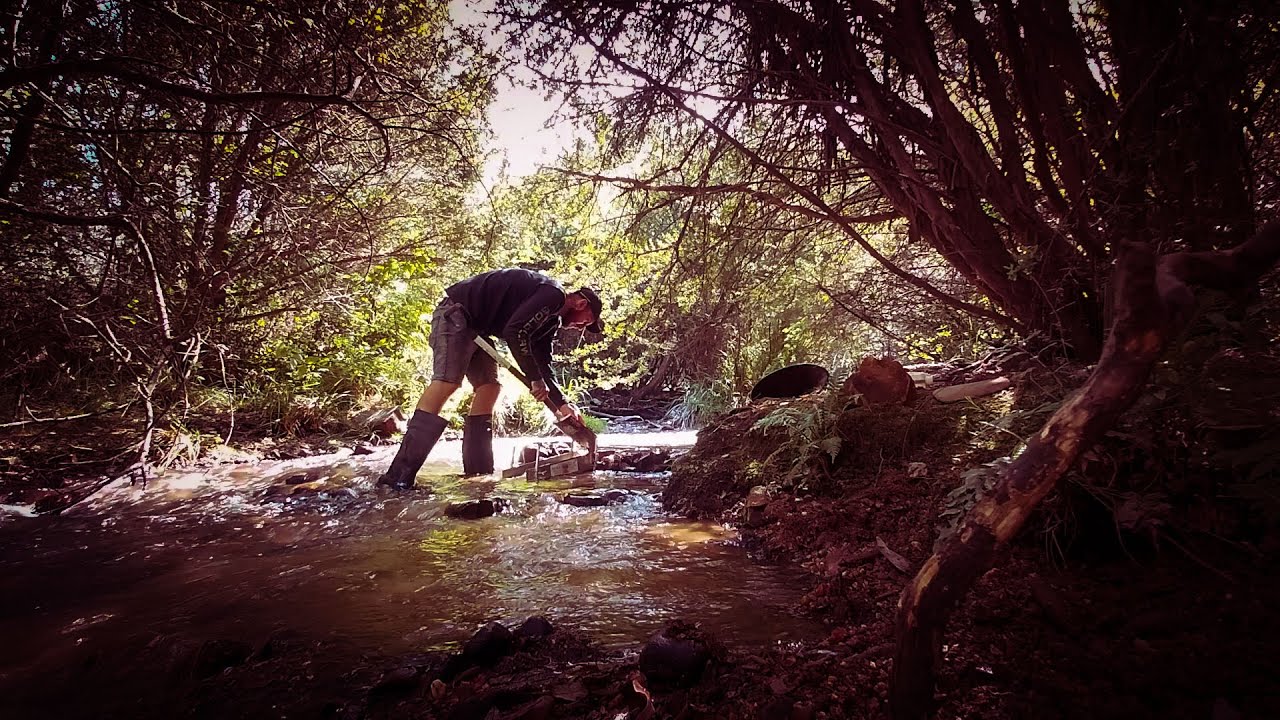 How Much Gold in 100 Shovels? |  Canadian Gully Pay Dirt!