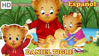 Daniel Tigre en Español  Daniel y Margaret visitan la granja (Episodios Completos)