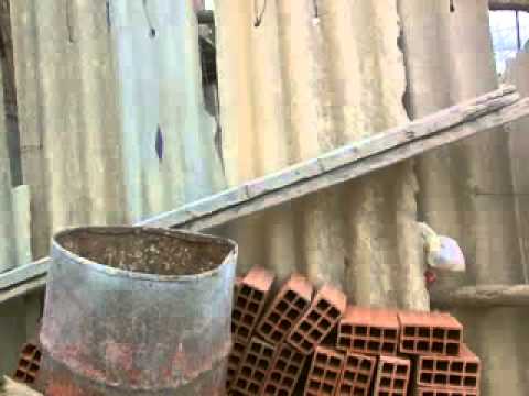 مشكل السكن في قصر البخاري جوان 2013