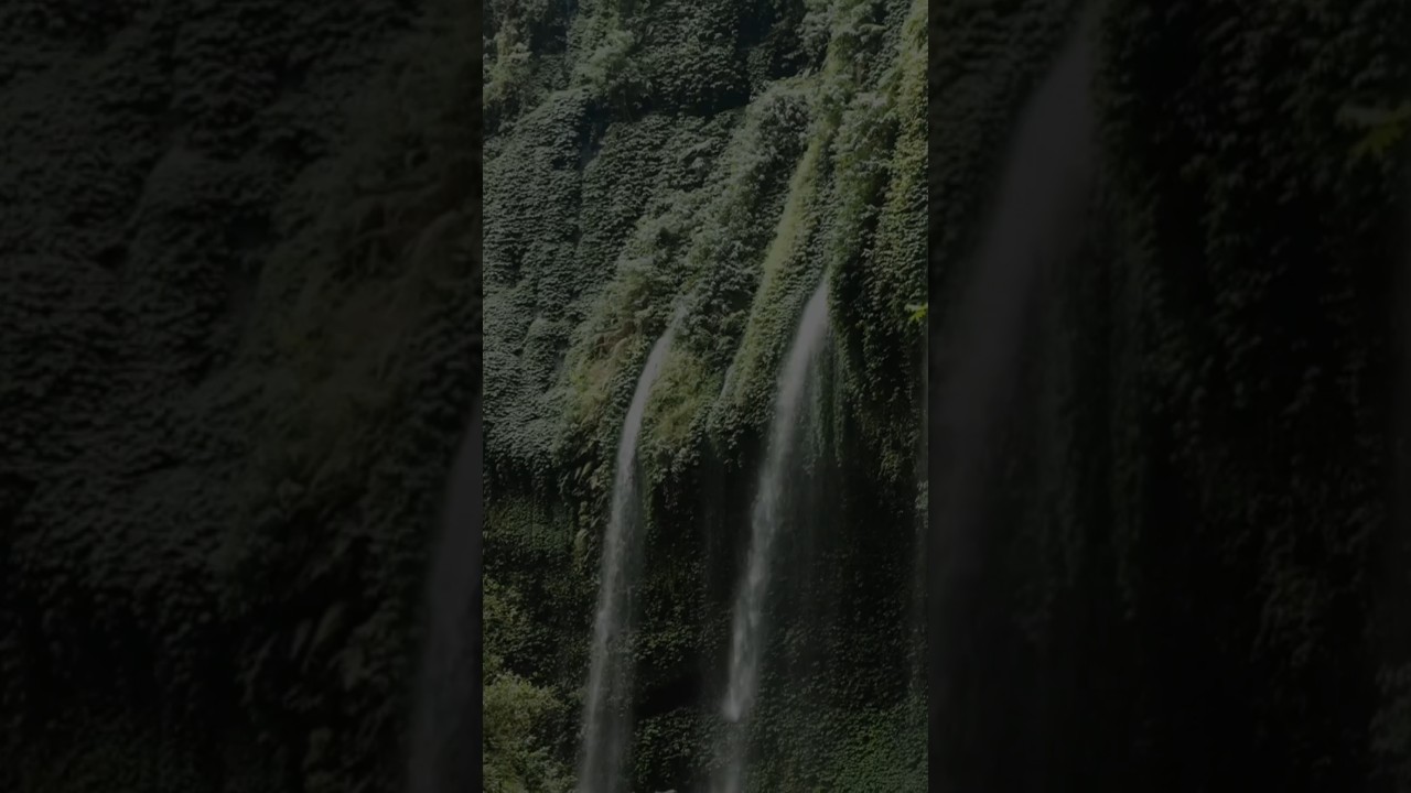 Sunnah of prophet Muhammad 