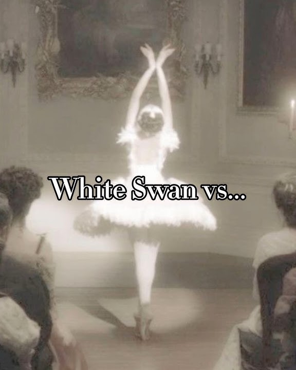 White swan vs Black Swan 🤍🖤#aesthetic #blackswan #whiteswan #fashion