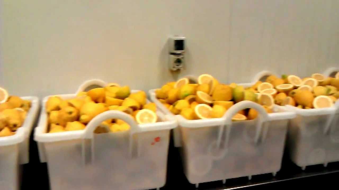 Fabrica zumo fresco,jus fruit frais, fresh juice