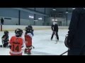 Beginner Level Training Intensive | iTrain Hockey