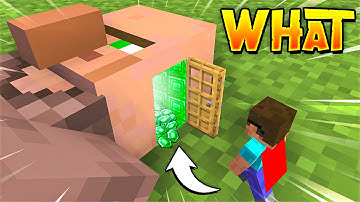 Minecraft But I Can Go INSIDE MOBS!