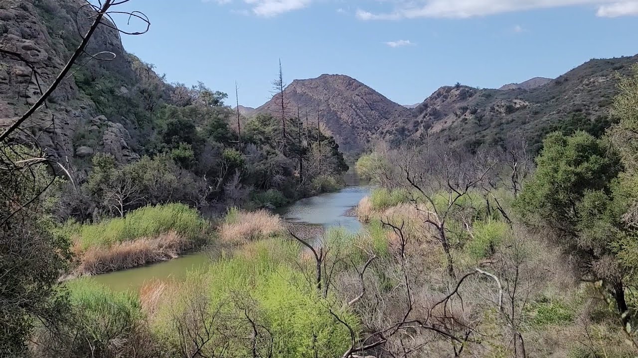 Hiking the lush and green Santa Monica Mountains and Malibu Creek near Los Angeles CA USA