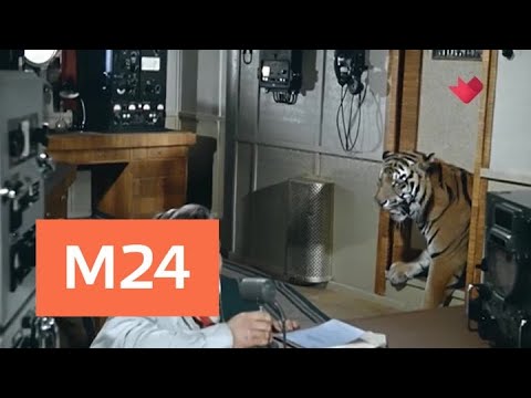 "Кинофакты": "Полосатый рейс" - Москва 24