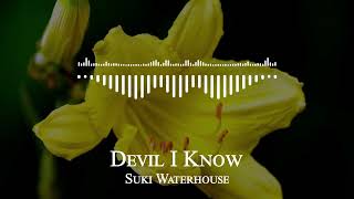 Suki Waterhouse - Devil I Know