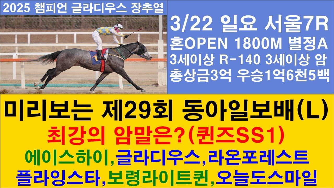 경마예상 금토일 서울경마 부경경마 제주경마 추천 마번