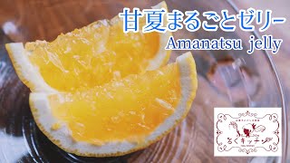 つぶつぶ甘夏まるごとゼリー Amanatsu jelly