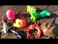 Megans world sea animals in mud with fun facts
