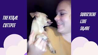 Try not to laugh | Funny Fails | Fails Of The Week- 2 | The Viral Cutipie