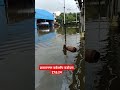 पानी में डूबा प्रतापनगर वर्कशॉप वडोदरा,27 augest 2024 भारी वारिस में डूबा