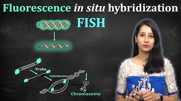 Fluorescence In Situ Hybridization - FISH Technique II Principle , Procedure, Applications