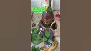 बहुत कष्ट मे जीवन हो तो एक बेलपत्र से करे अचूक उपाय #pradeepmishrajidhankeupay