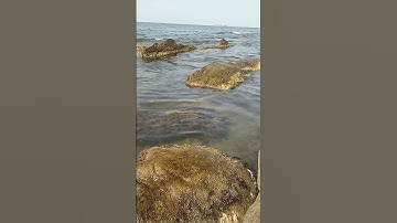 تلاوة مميزة مع جمال البحر ❄❄