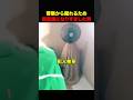 扇風機になりすますアホすぎる犯人 #shorts