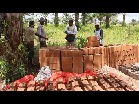 Vidéo: Blocs De Ciment Et De Sciure De Bois: Fabriquer Des Briques Pour Un Bain Et Une Maison De Vos Propres Mains, Comme On Dit, Avis