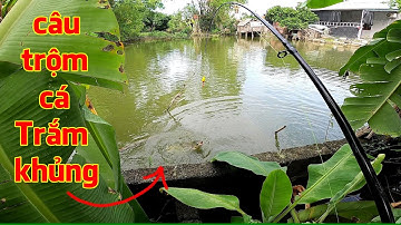 Đột kích sang Ao nhà hàng xóm câu Cá, dính ngay hàng khủng