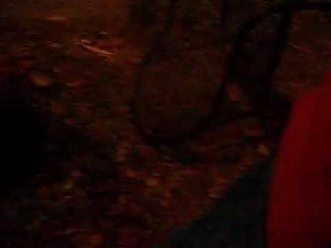 EPIC FIREWORKS FAIL!!