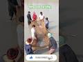 মাছ ধরা দেখার মজা। #shorts #fish #vlog #Fishing man2.2 #fishingvideo  #virall_video #short video