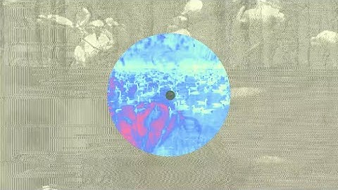 Lennart Heyndels - Bird Shuffle (official video)